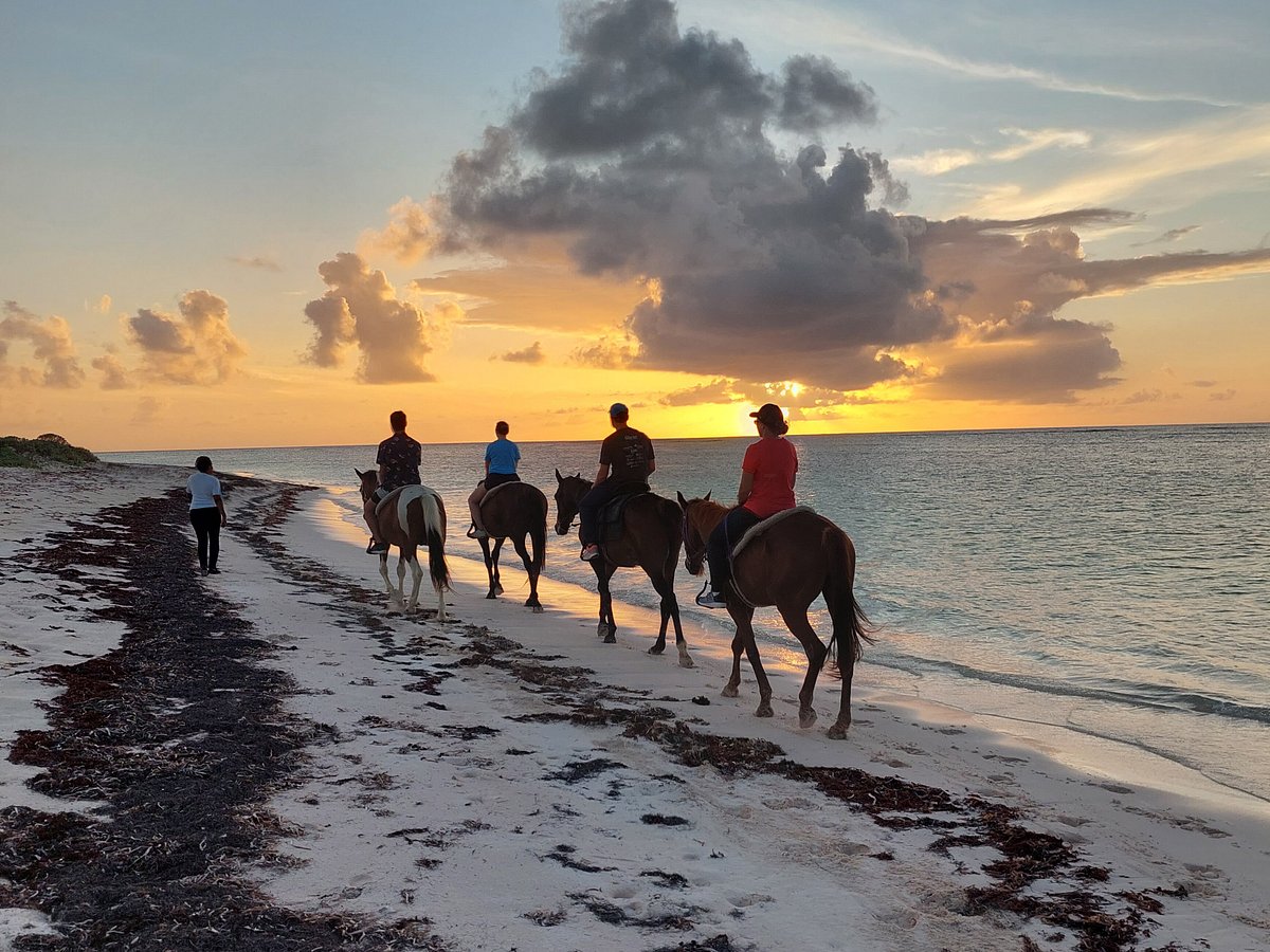 Horseback riding BVI yacht charter